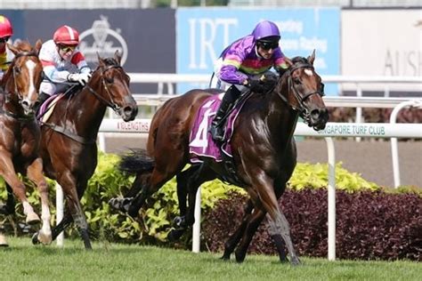 singapore horse racing tips by larry foley|kranjiracing.com .